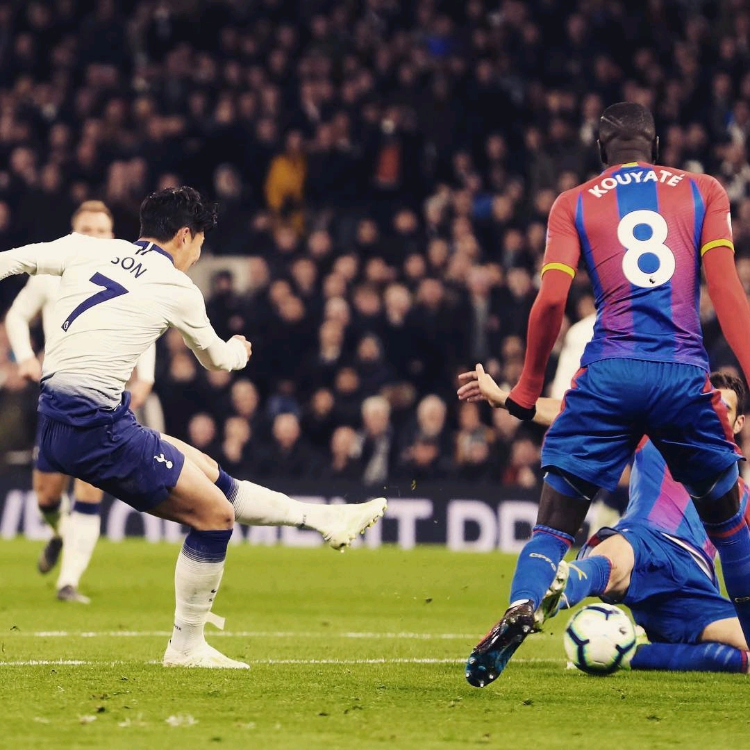 将是职业生 将是职业生